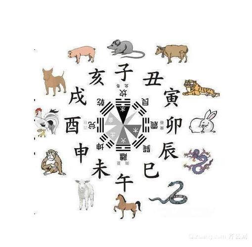 十二生肖的大吉风水楼层