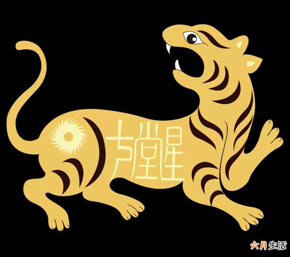 属虎的明年运气好不好
