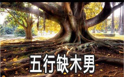 五行缺木的人需要怎么做?