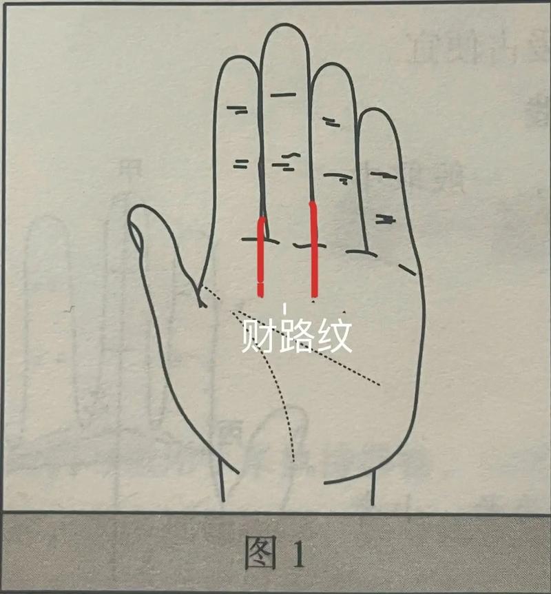 一生无财运的手相