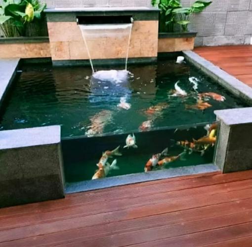平台花园鱼池风水,家庭花园的鱼池风水