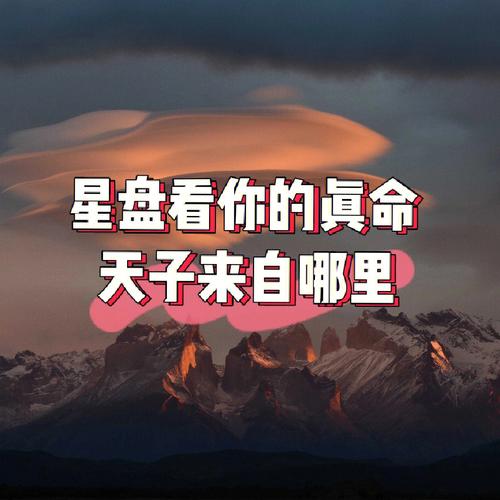 你会怎样找到你的真命天子呢