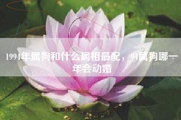 94年狗女什么时候动婚