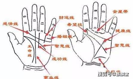 婚姻纹手相图解