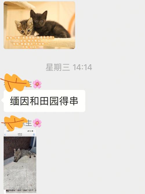 梦见领养是什么意思