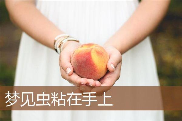 梦见手上有虫子
