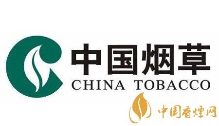 个性的烟草公司名字大全