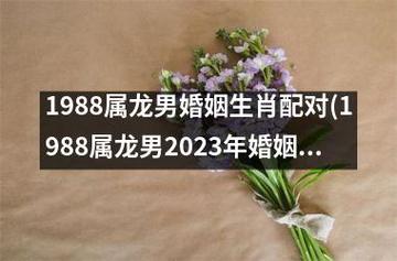 1988年属龙人婚姻晚有什么原因
