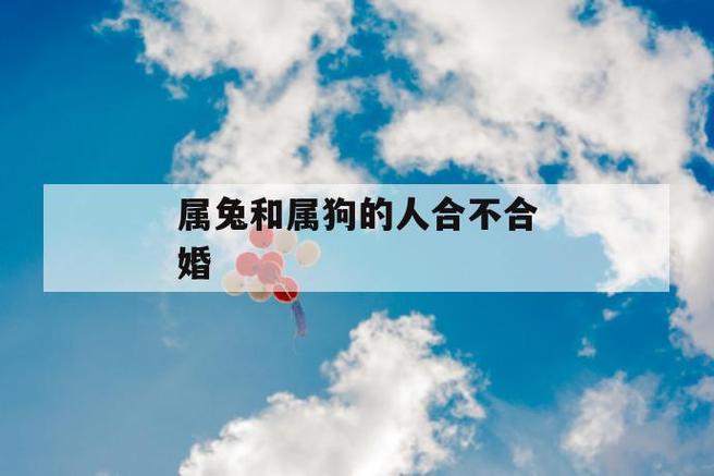 属狗的女人和属兔