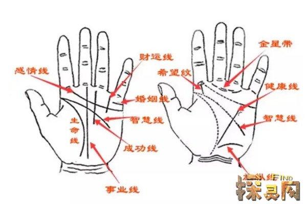 最详细断掌(通贯手)图解