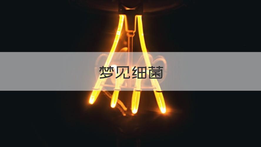 梦见细菌是什么意思