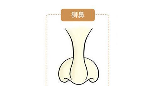 狮子鼻财运好吗