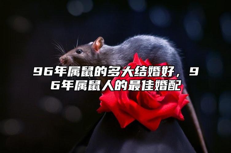什么样的婚礼主题才能对属鼠的胃口