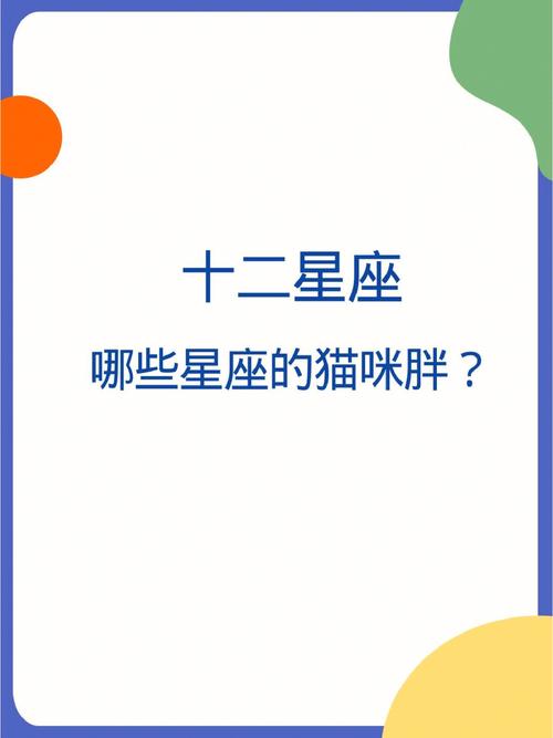 别再下课时候研究星座