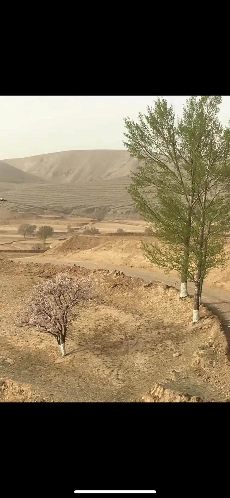 梦到小时候的生活环境是怎么回事