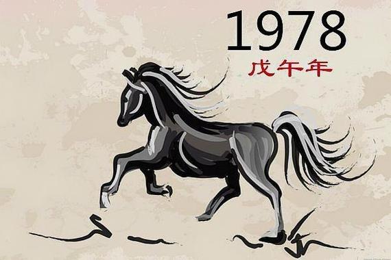 属马的是什么命