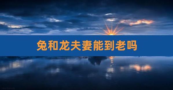 兔和龙夫妻能到老吗?两人在一起对谁不利