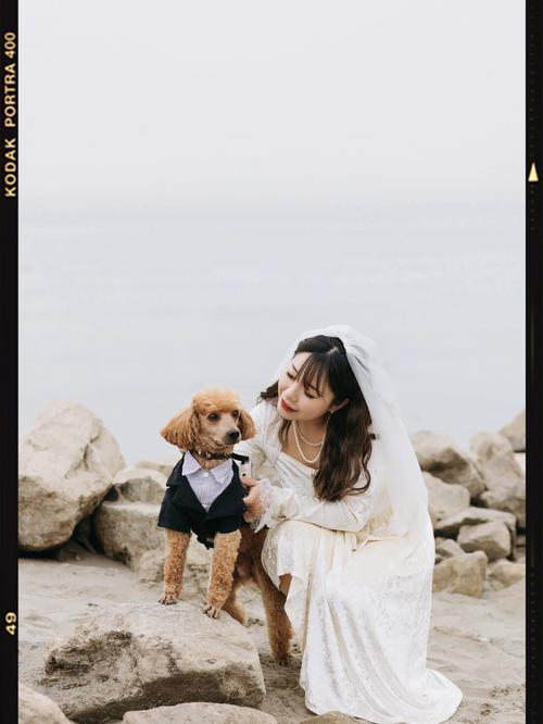 男狗女狗在一起怎么样?适合结婚吗?