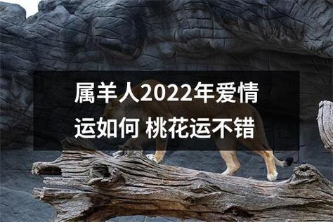 属羊人2022年1月份恋爱桃花运势如何