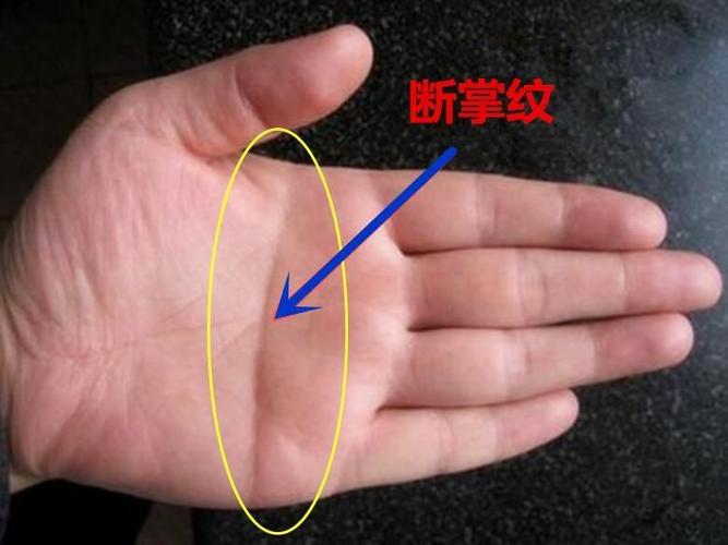 女人左手断掌大富大贵