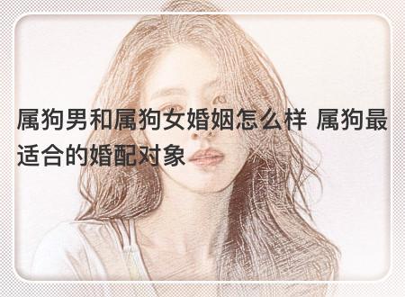 属狗的人恋爱追求与婚姻