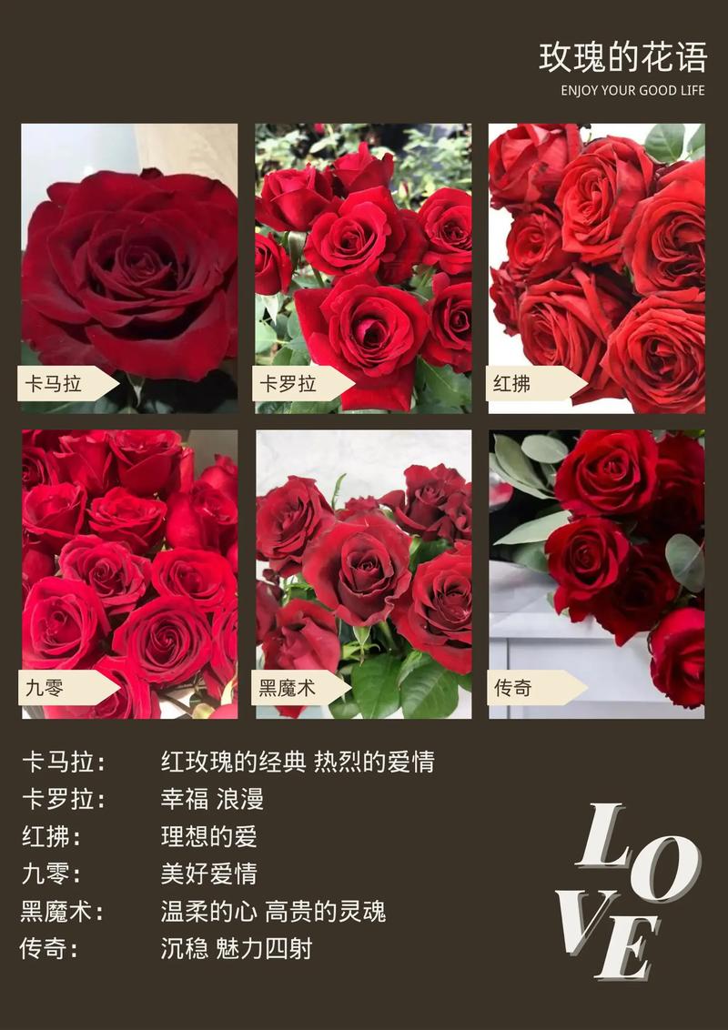 新娘玫瑰花语