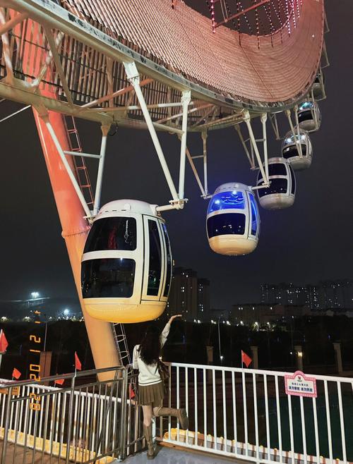 梦见摩天轮是什么意思