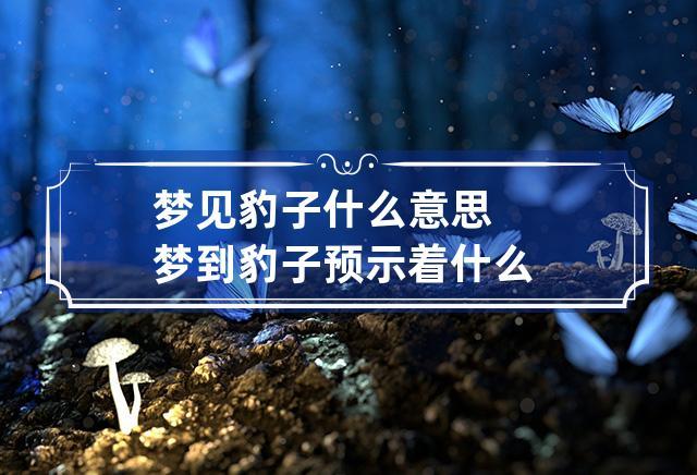 梦见小豹子是什么意思