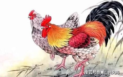 2021年生肖鸡的每月运程
