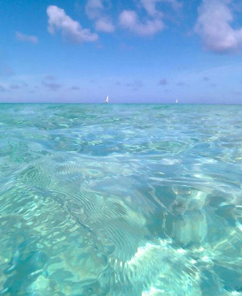 梦见大海海水清澈见底