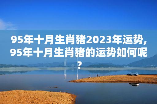 95属猪的人十年大运运势