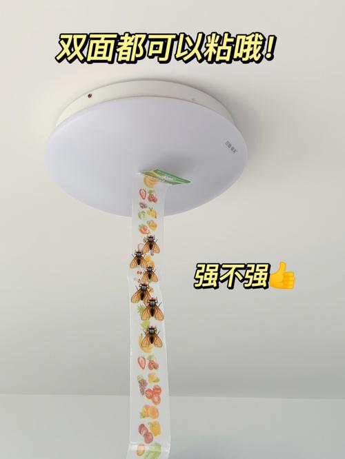 梦见苍蝇太多赶不走,是什么意思?