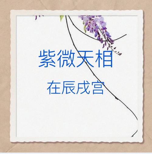 紫薇六十星系之天相独坐巳亥35