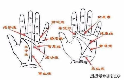 女人双手川字掌什么命快看吧