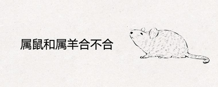 羊鼠千万别在一起为什么