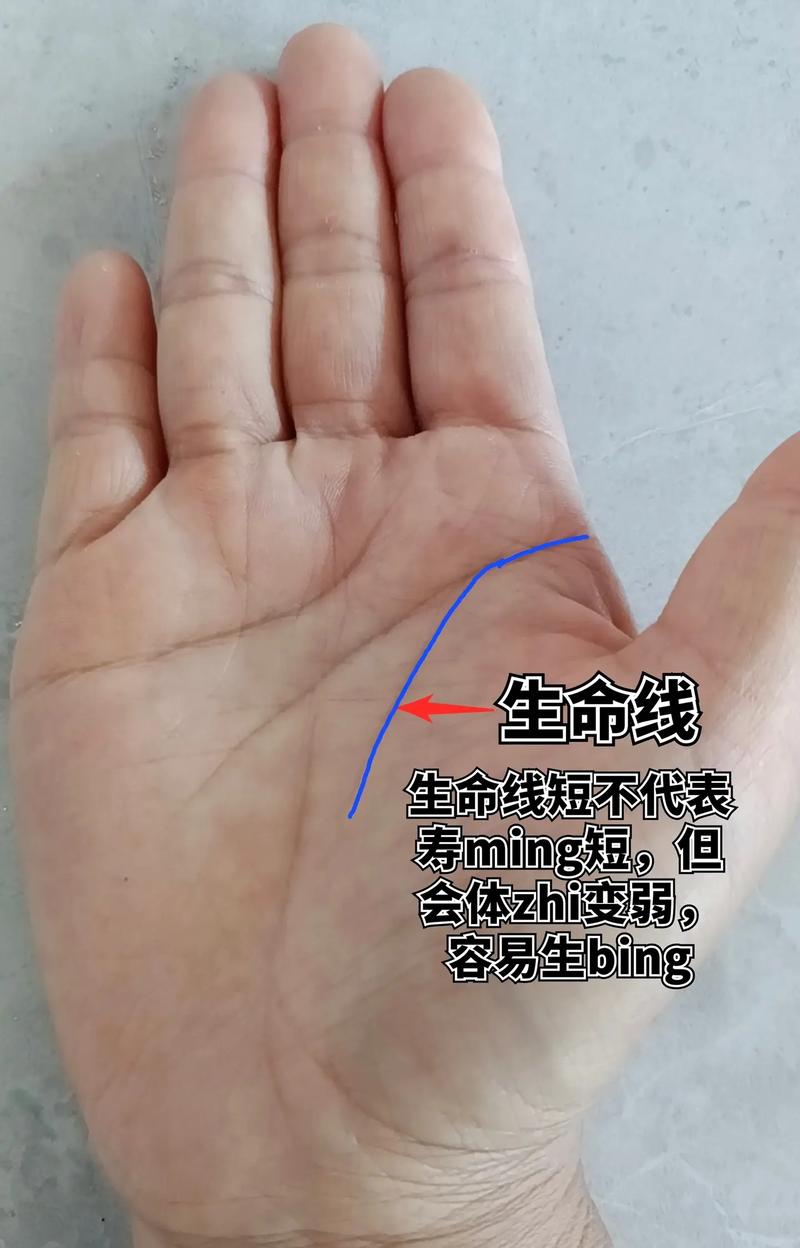 手相生命线短的人意味着不会长寿吗?