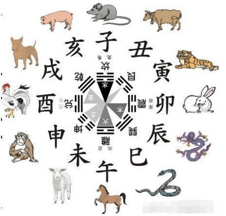 属猪女生活中喜欢八卦别人吗