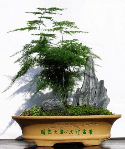 风水盆景用人造花卉好吗?