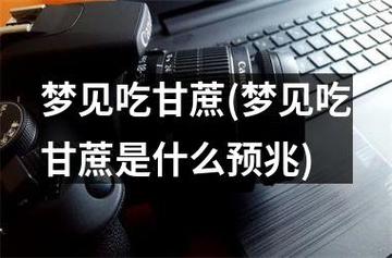 梦见吃甘蔗周公解梦，梦见吃甘蔗是什么意思？