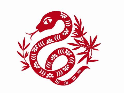 生肖蛇遇见什么人后思想会很纯粹
