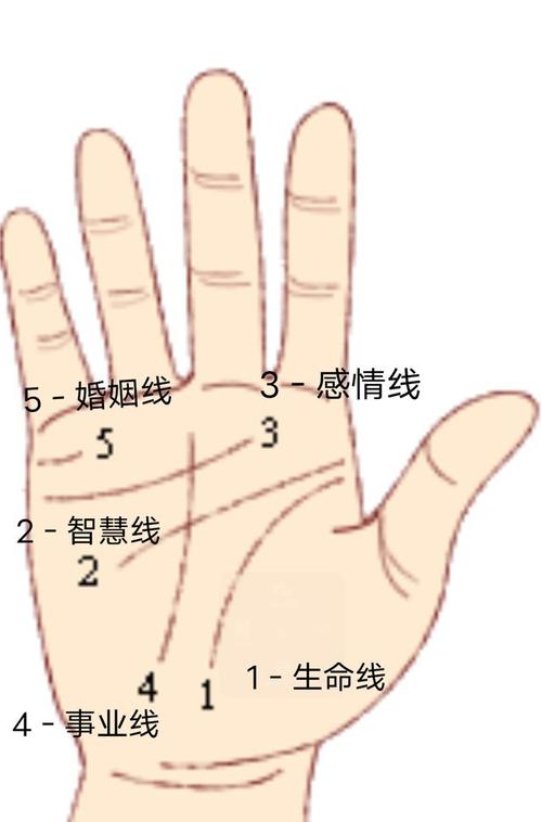 一般看手相的准吗