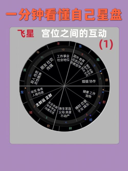 星盘中的一宫代表什么