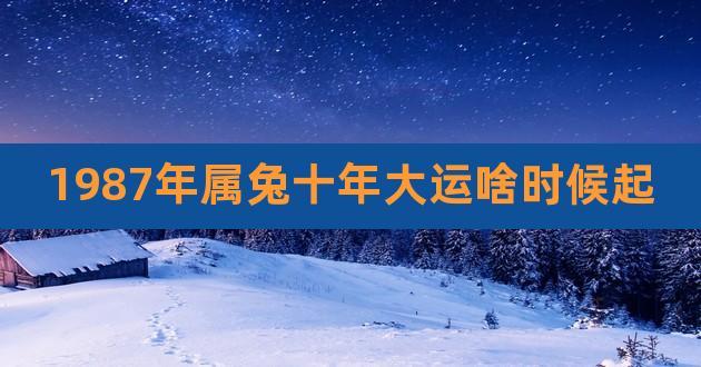 1987年属兔何时走大运