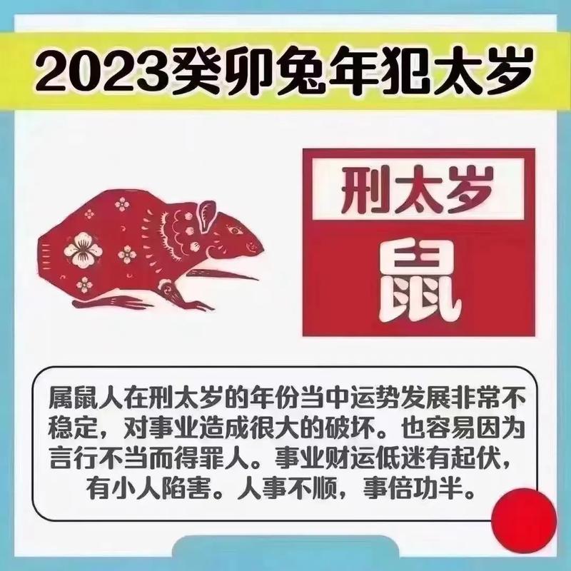 属兔为什么会辞掉稳定的工作