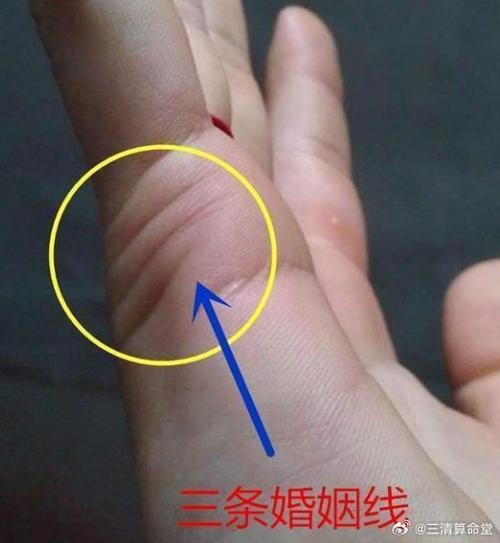 感情线分叉20种图解