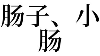 梦见肠