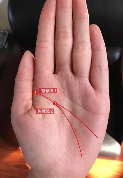 好逸恶劳的手相智慧线分叉图解