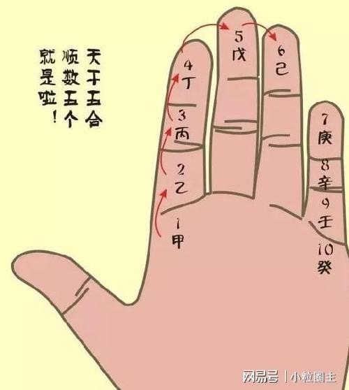 四柱六爻指的什么