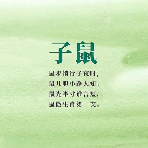 12生肖中鼠极其幽默的求职报告
