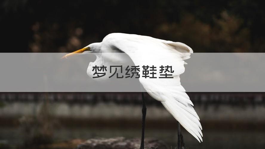 梦见鞋垫预示着什么